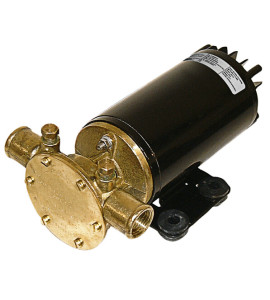 Bomba de Transferência Johnson F4B-19 12.5 GPM 12V